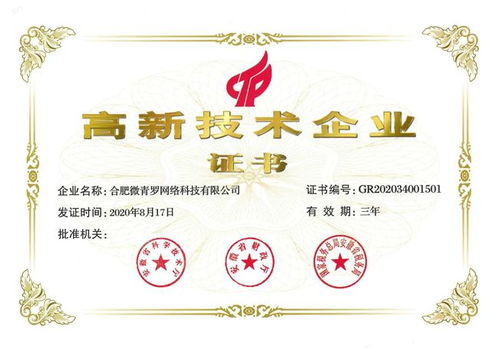 喜報 新青羅入選合肥市2021年度高成長企業，技術服務領域再創佳績